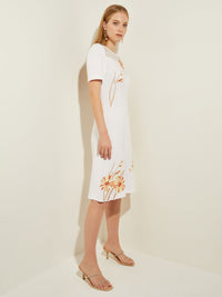 Embroidered Sheer Yoke Soft Knit A-Line Dress, White/Sand/Sunset Red/Citrus Blossom/Pale Gold/Black | Misook